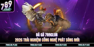 Đá gà 789Club